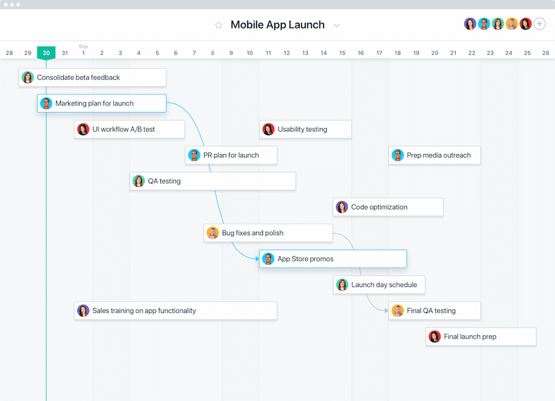 Project Management Software