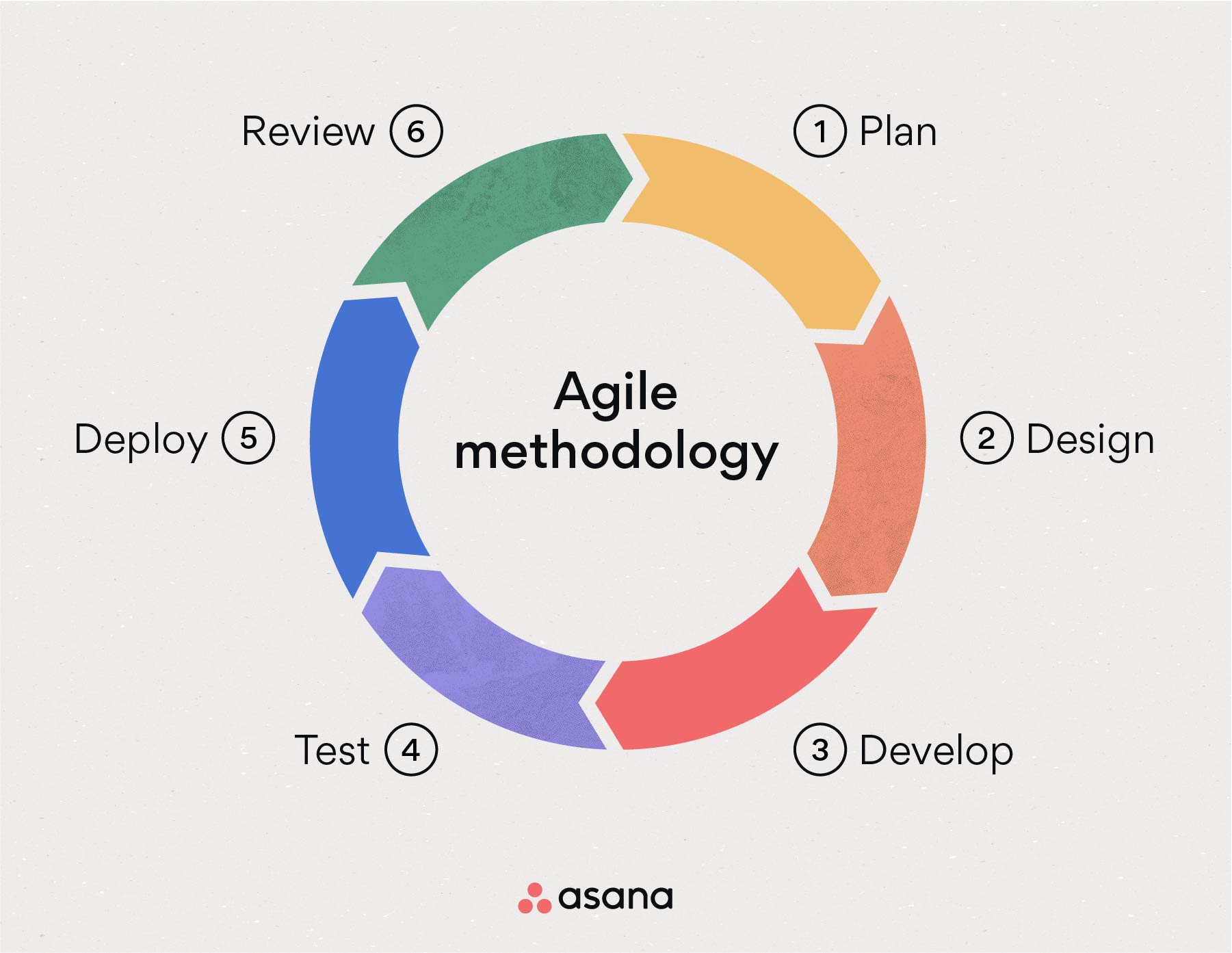 [inline illustration] Agile methodology (infographic)
