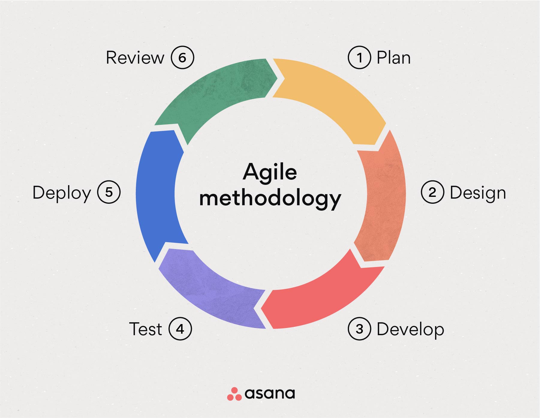 What Is Agile Methodology? (A Beginner’s Guide) • Asana