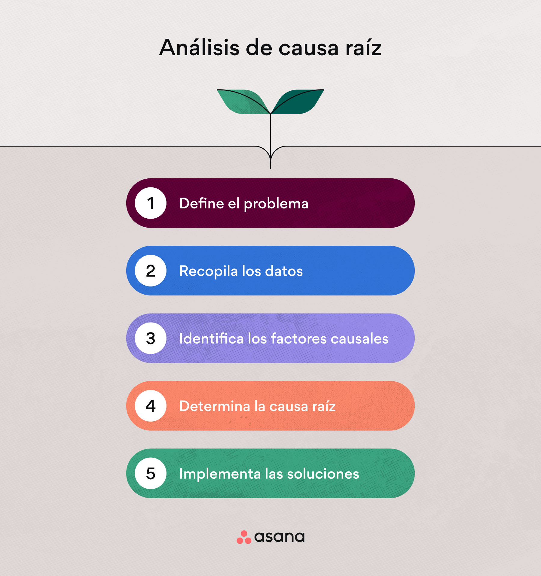 Plantilla De Análisis De Causa Raíz Descubre Soluciones Efectivas • Asana 1731