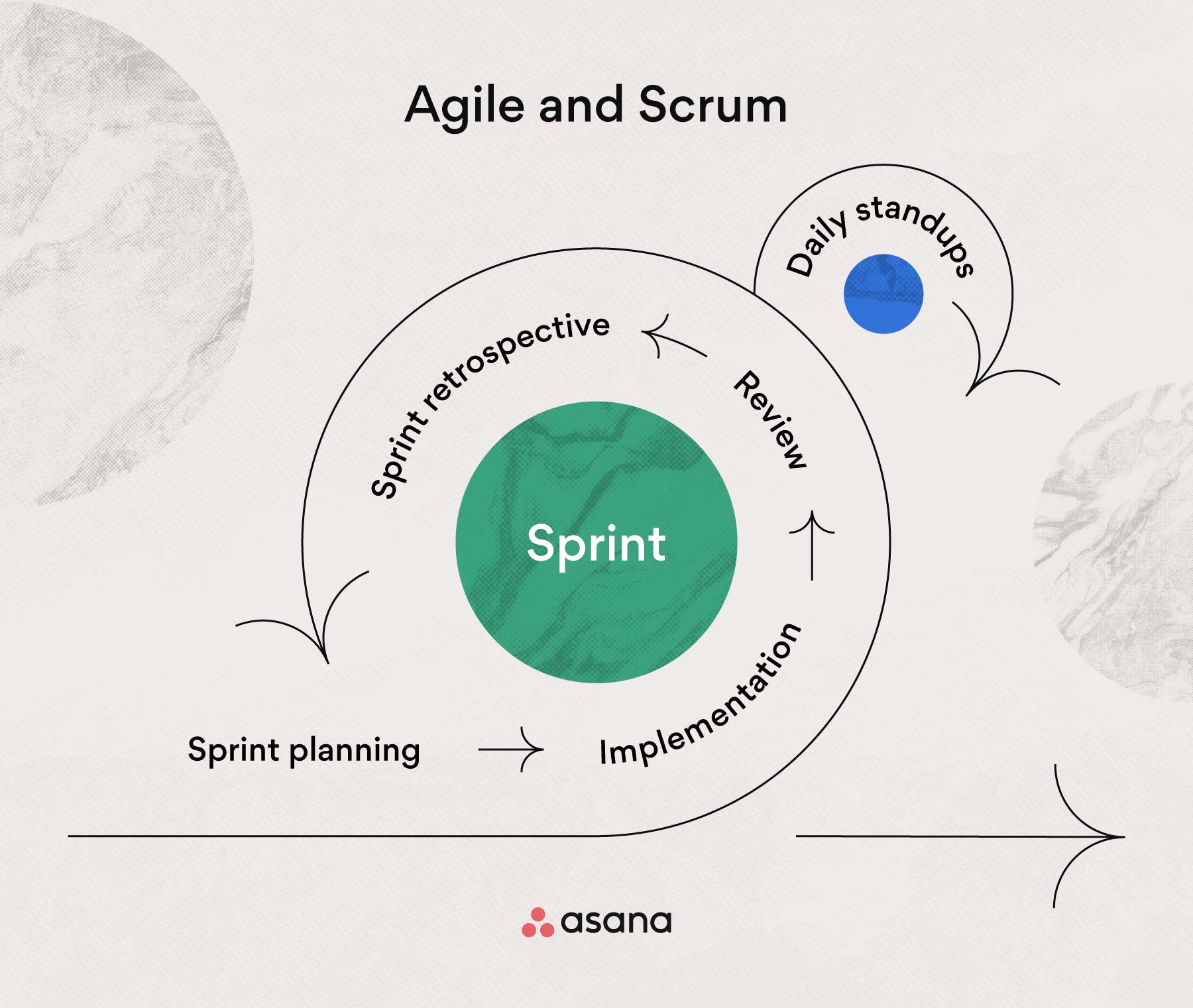 [inline illustration] Agile and Scrum sprint (infographic)