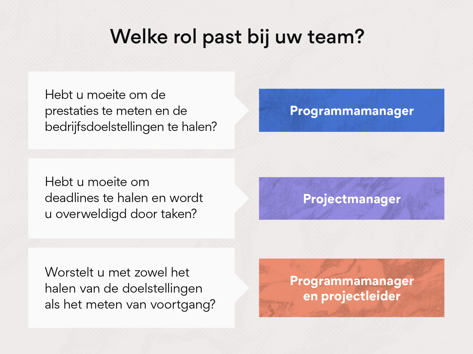Welke rol is geschikt voor uw team: programmabeheerder of projectbeheerder?