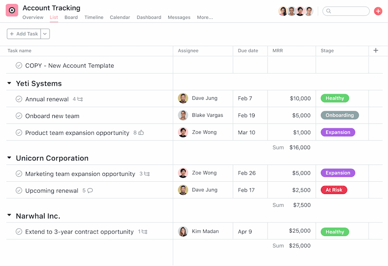 Account Management & Simple CRM Template • Asana