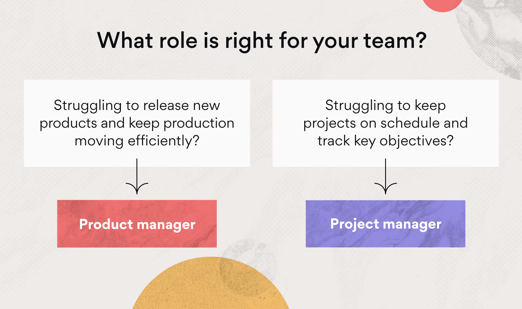 product manager vs program manager