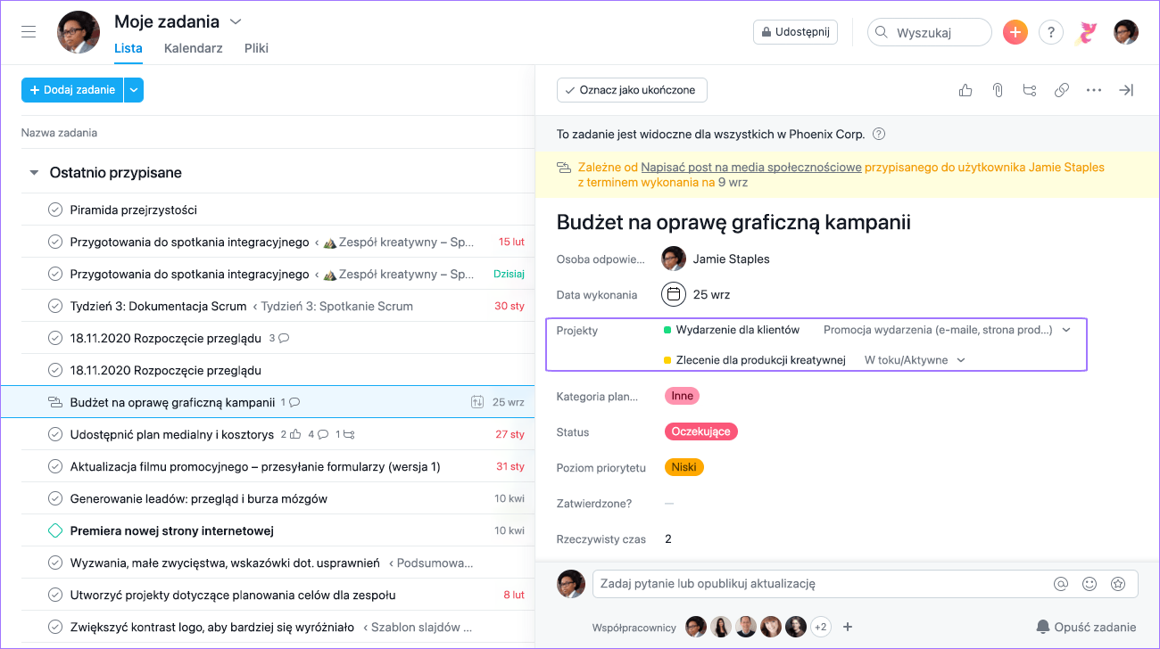 uzyskiwanie dostępu do projektu z głównego lub prawego okienka