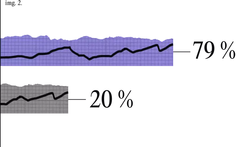 graphique : 79 %, principaux concurrents 20 %