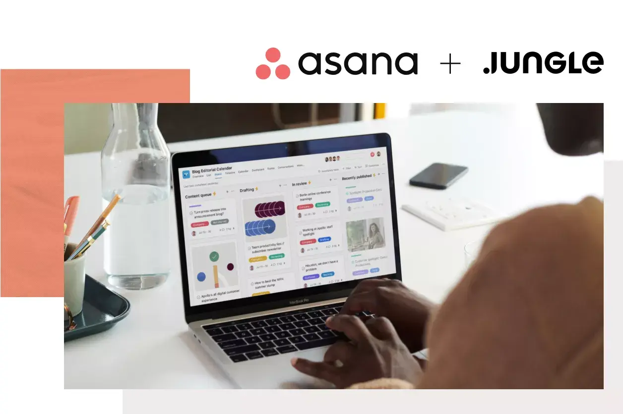 Asana for Startups Jungle (image)