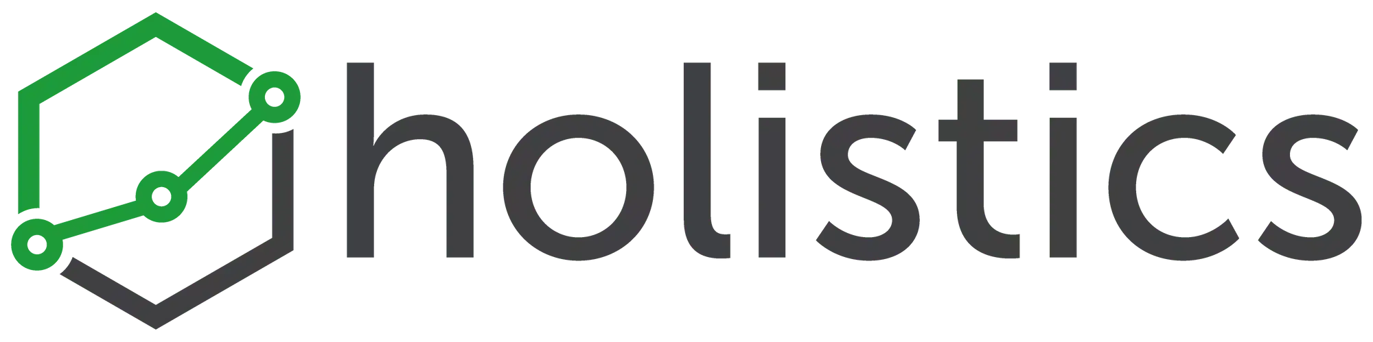 Logo de Holistics