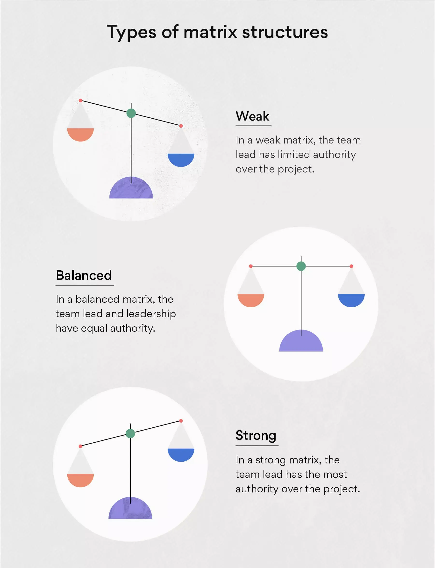 [inline illustration] Types of matrix structures (infographic)