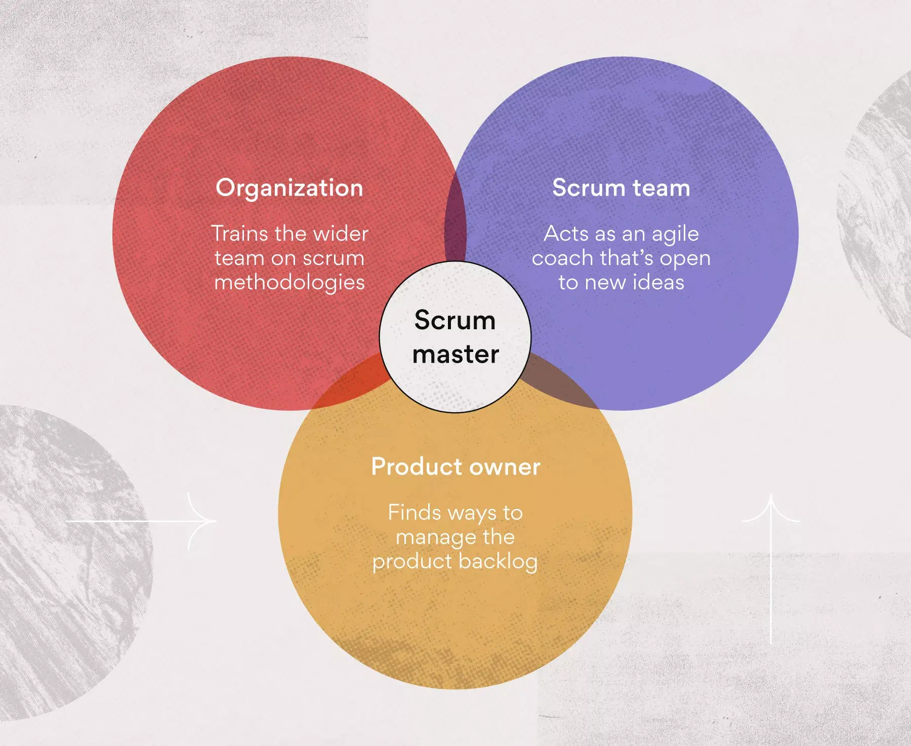 Scrum master roles