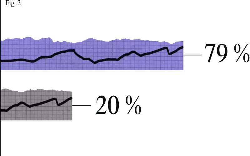 Gráfico que muestra el 79 % con los principales competidores del 20 %