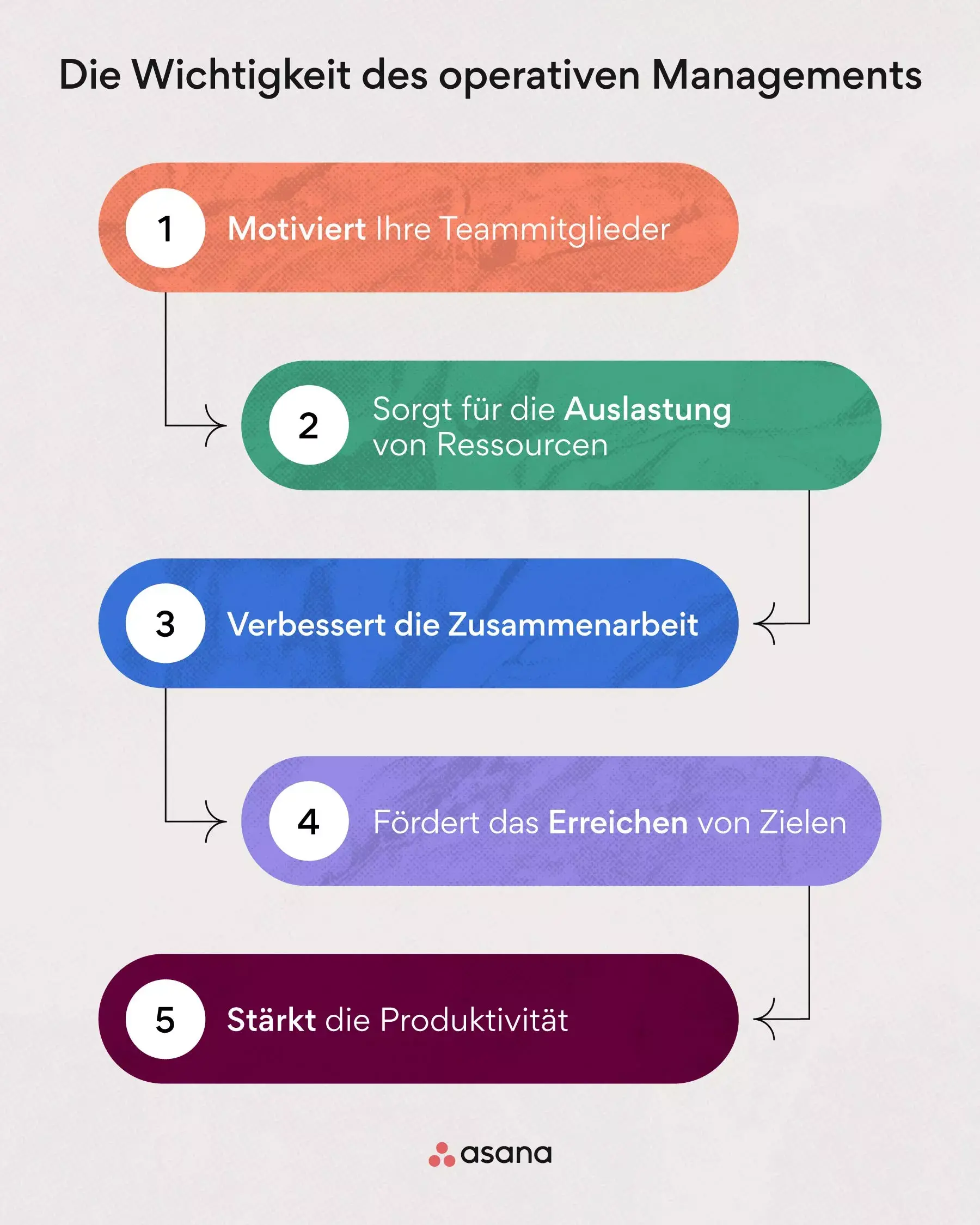 Die Wichtigkeit des operativen Managements