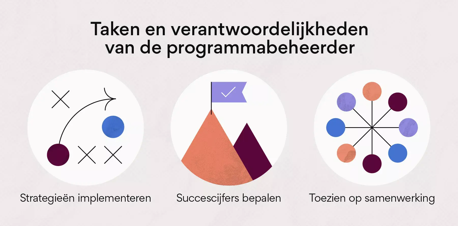 Taken en verantwoordelijkheden van de programmabeheerder