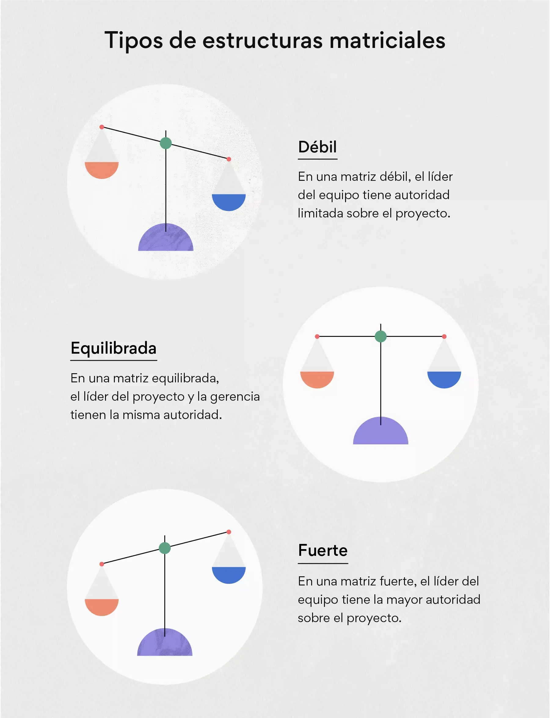 Tipos de estructuras matriciales