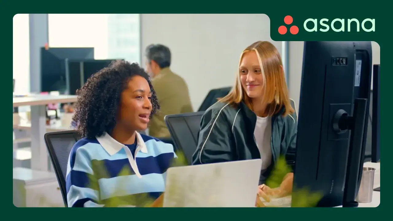 Asana Engineering team spotlight