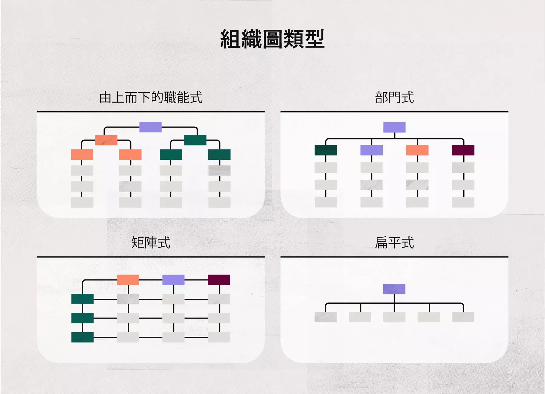 組織圖類型