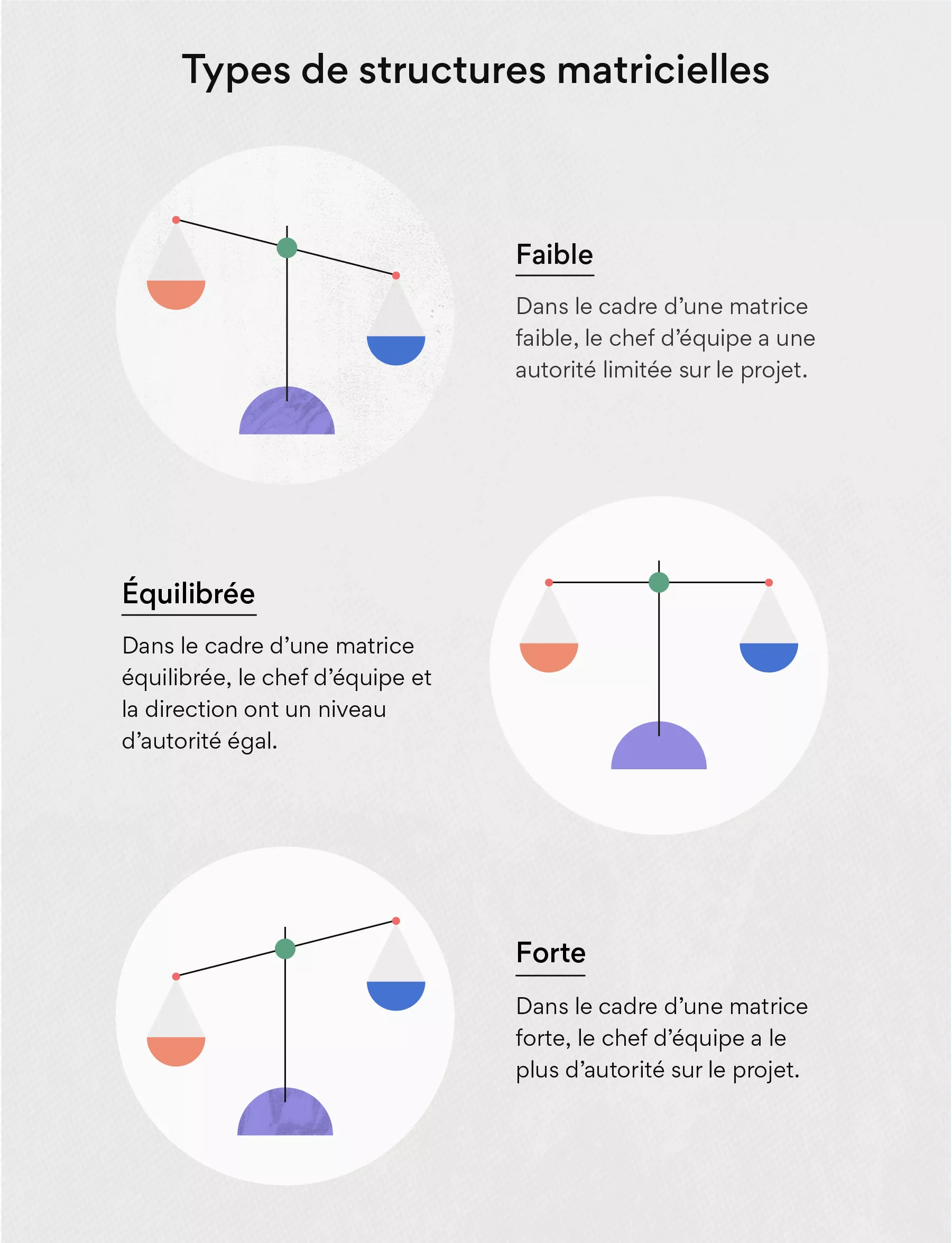 Organisation Matricielle : Présentation Et Fonctionnement [2023] • Asana