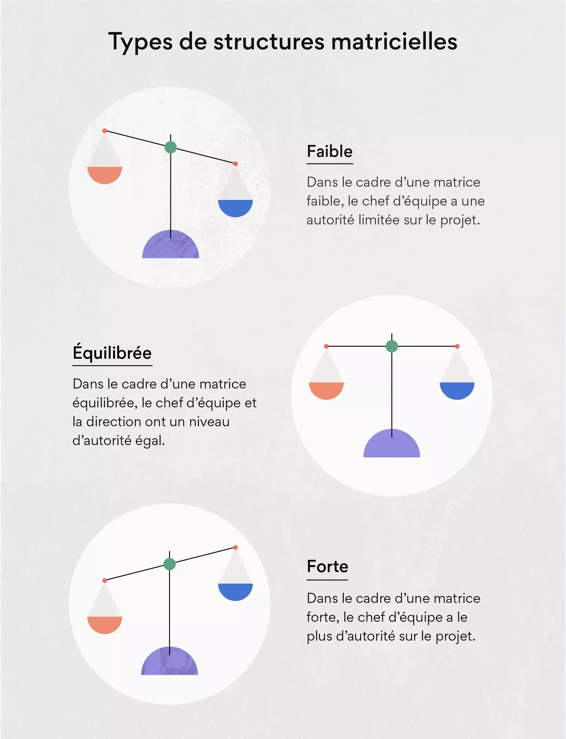 Types de structures matricielles