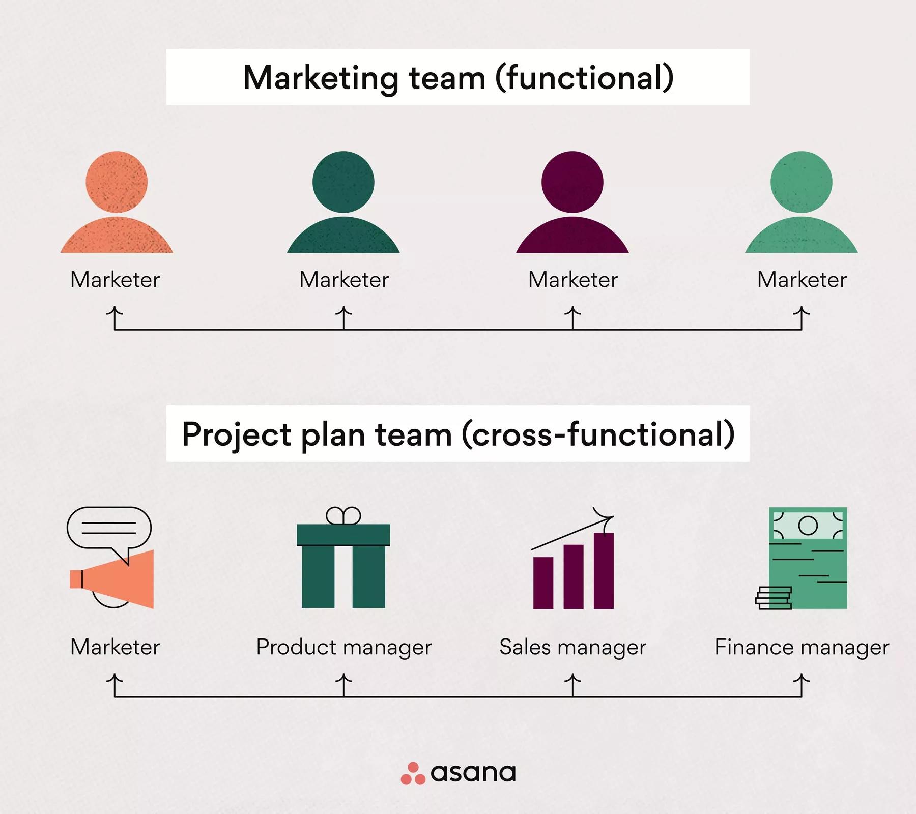 How to Create a Cross-Functional Team in  Simple Steps [202] • Asana