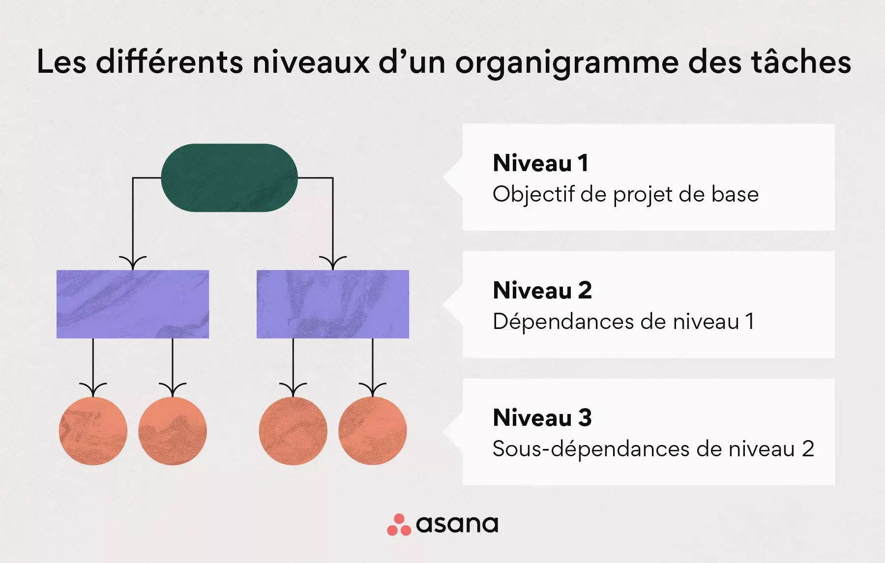 Les différents niveaux d’un organigramme des tâches