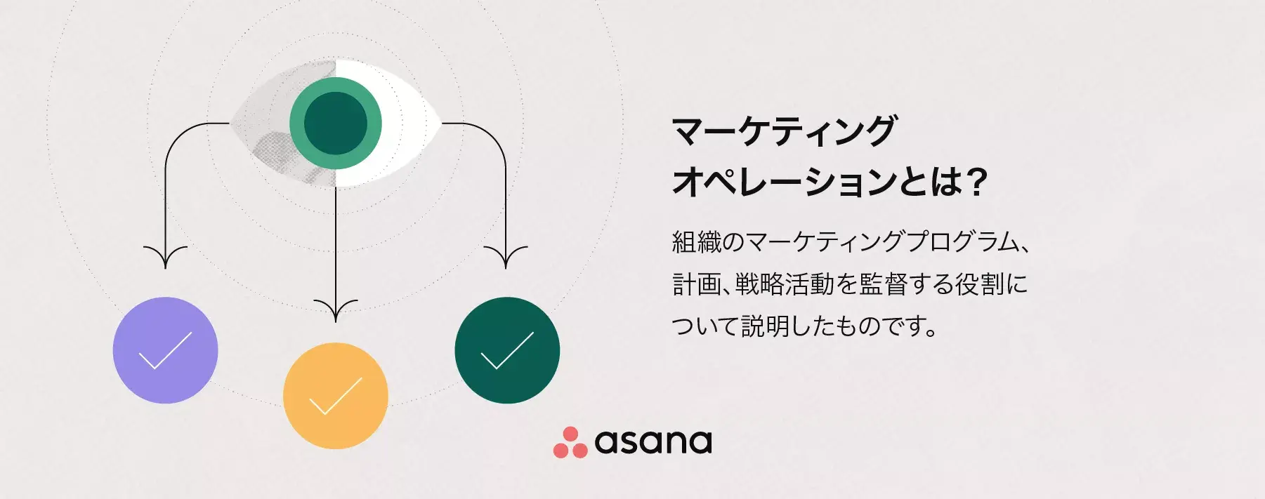 マーケティングオペレーションとは？