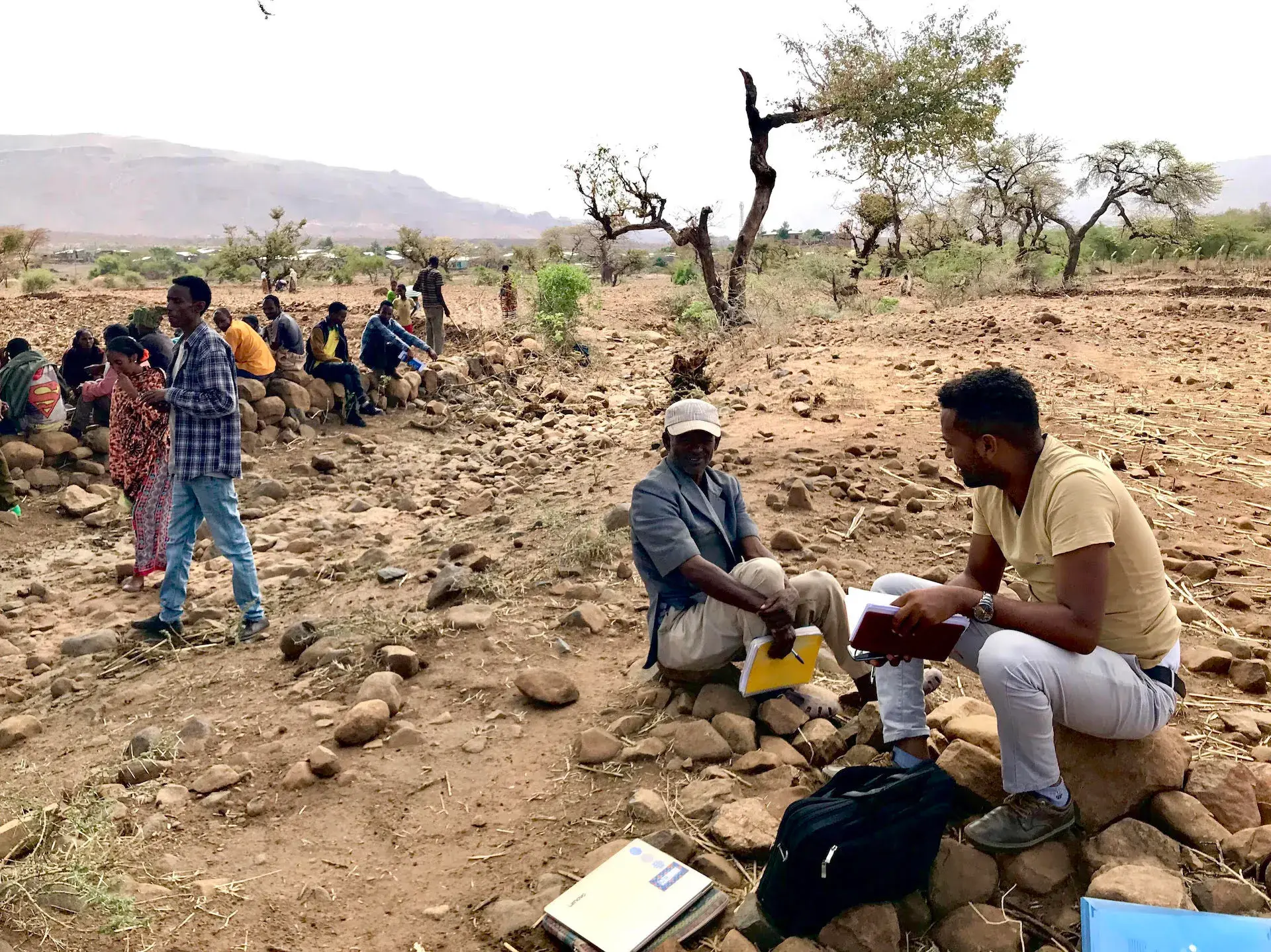 IDinsight: Talking to a village head about the viability of electronic data collection in Tigray, Ethiopia