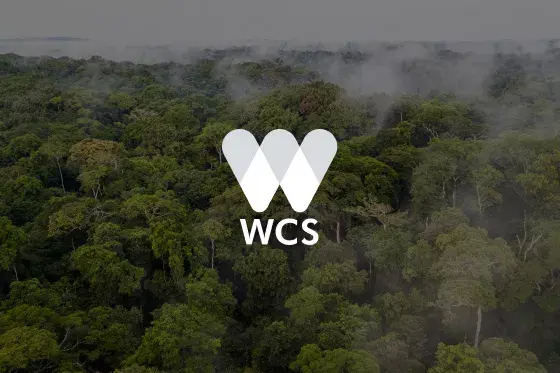 Étude de cas Asana – Wildlife Conservation Society – Logo arbres