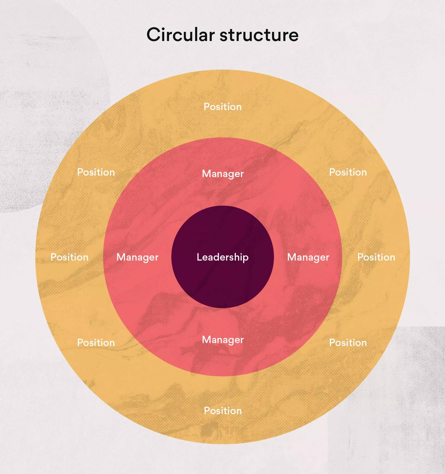Team Structure: 10 Ways to Organize Your Team [2025] • Asana, image size:1801x1919