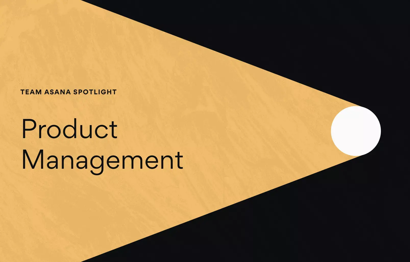 Team Spotlight: How Asana’s Product Management team is solving hard problems with the best critical thinkers article banner image