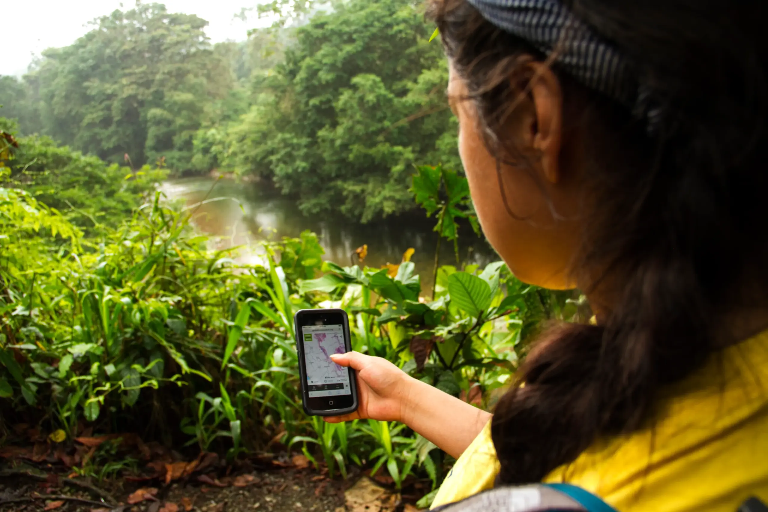 Asana Case Study - World Resources Institute - Rain Forrest