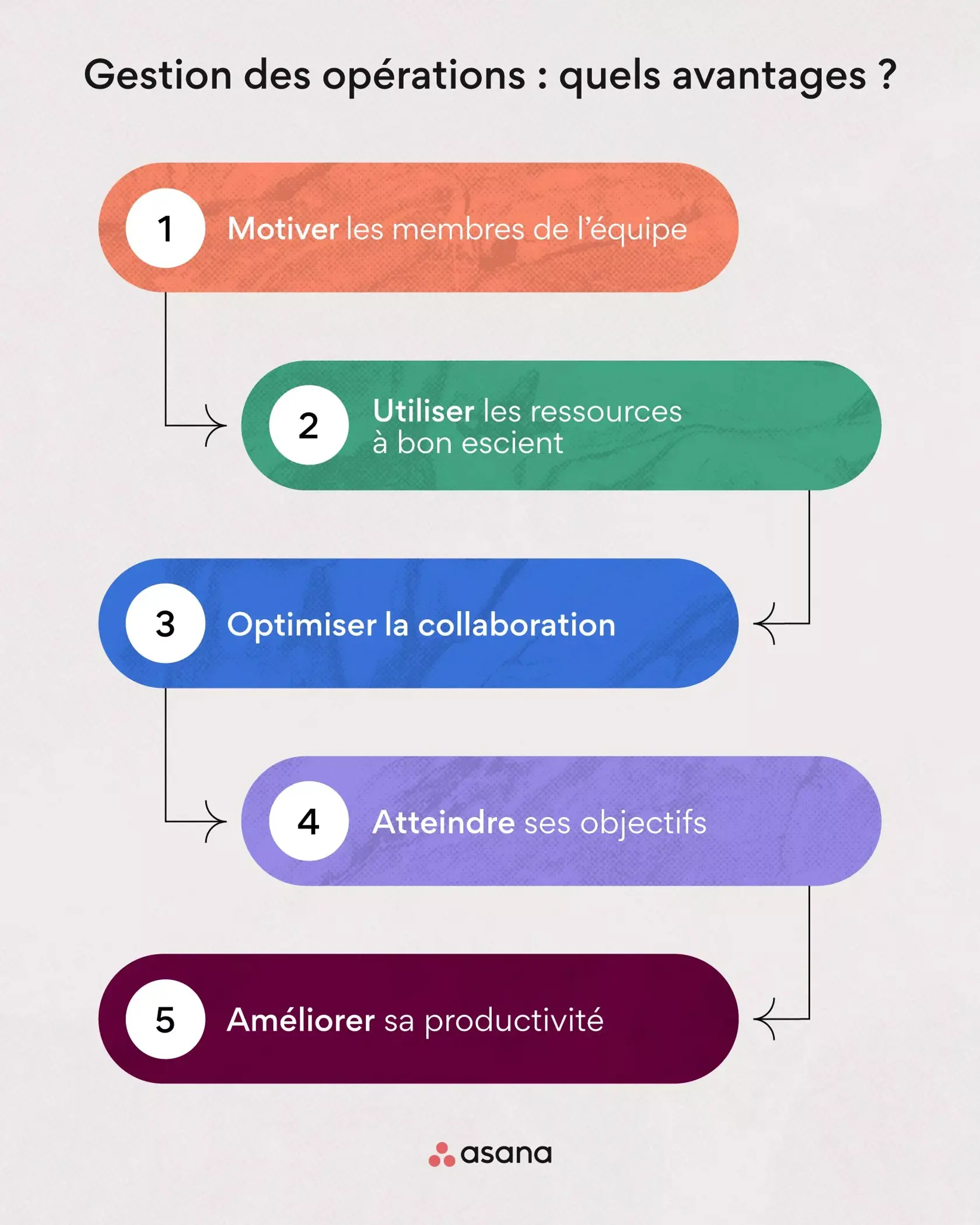 La gestion des opérations en 7 fonctions et compétences clés [2022] • Asana