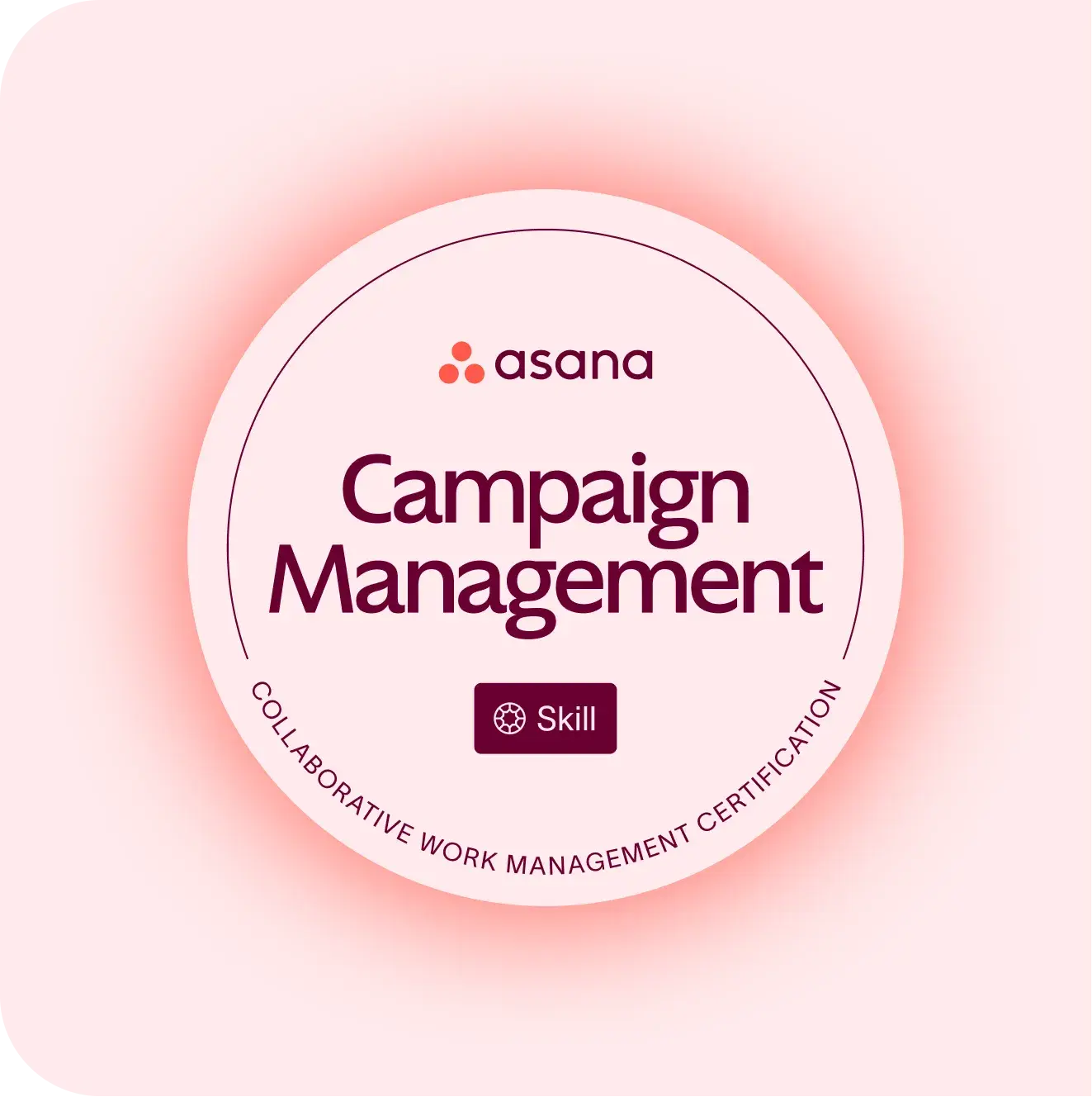 Campaign management skill badge program image