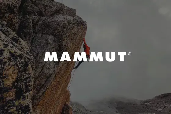 Card Image Mammut