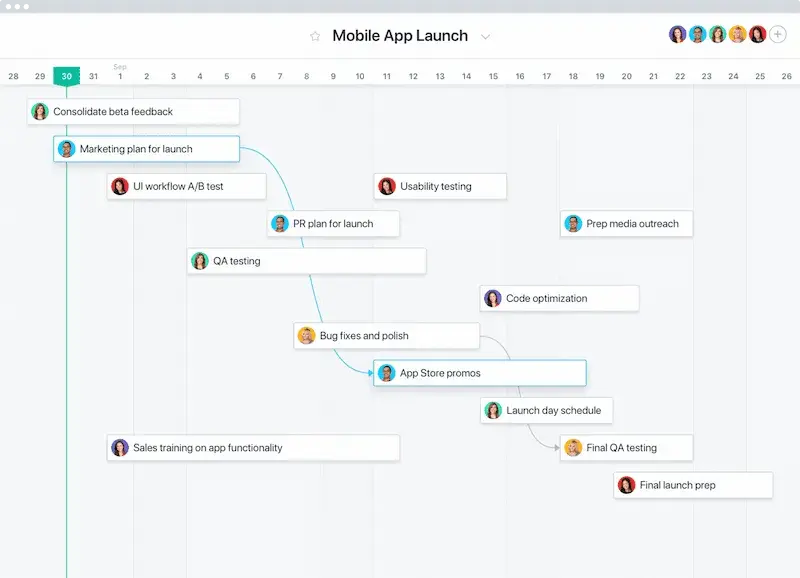 Asana Product Screenshot