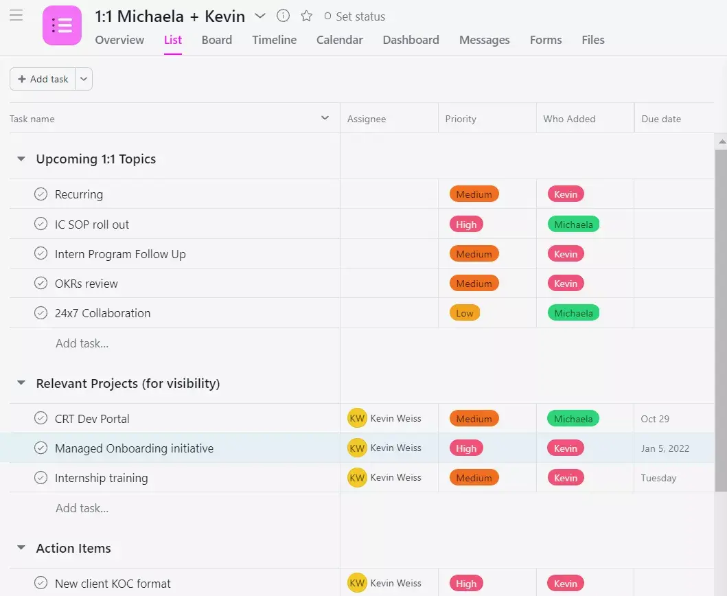 Asana casestudy - Skai - 1:1-project