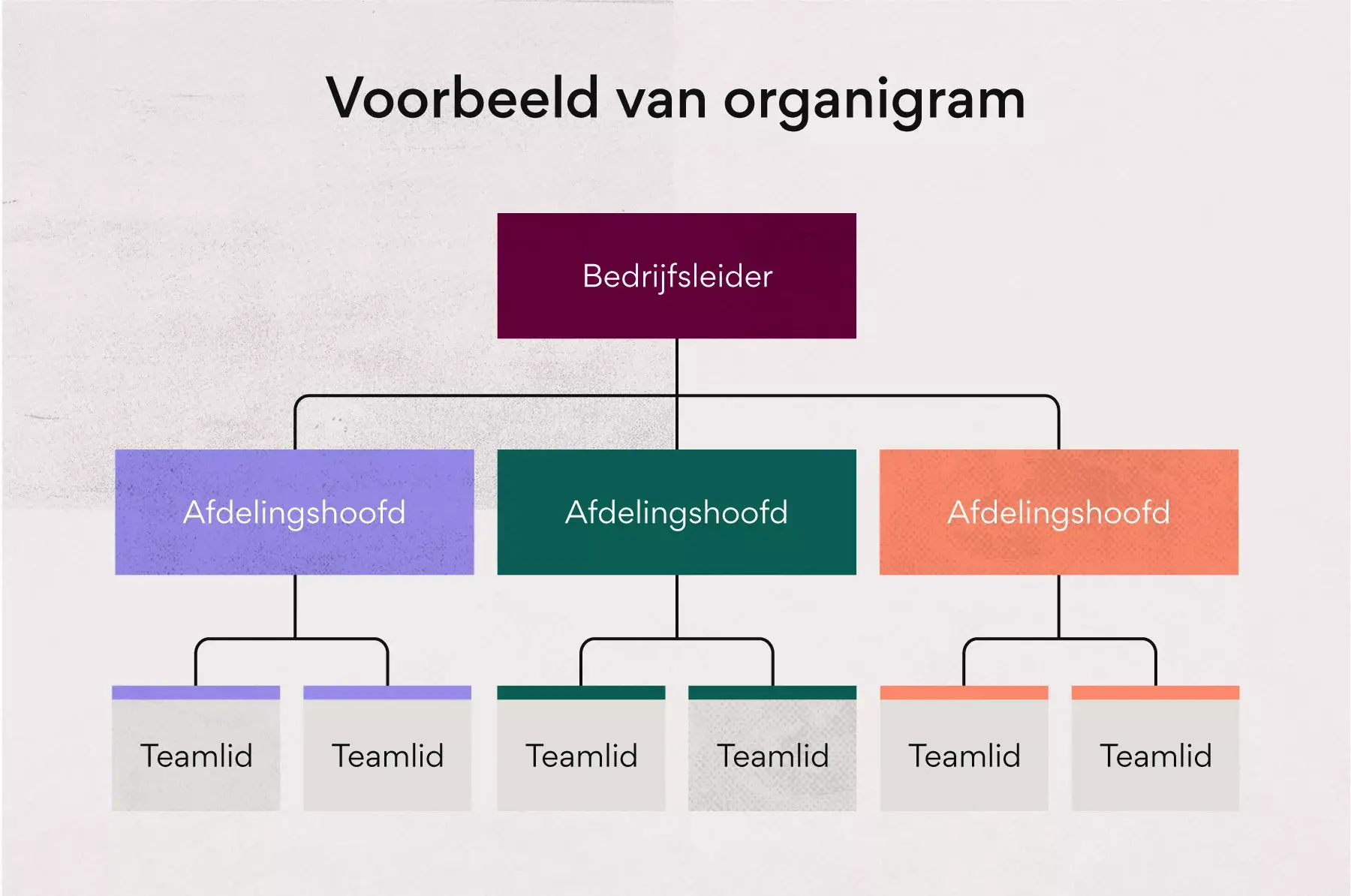 Voorbeeld van organigram