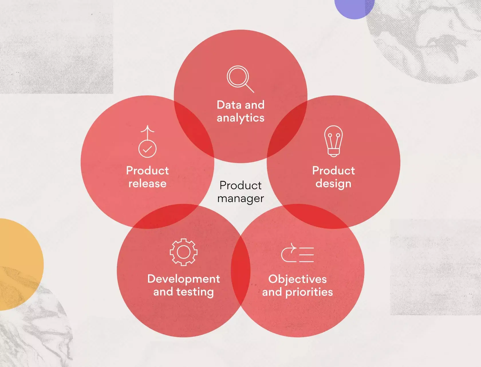 [Inline illustration] What is a product manager? (Infographic)