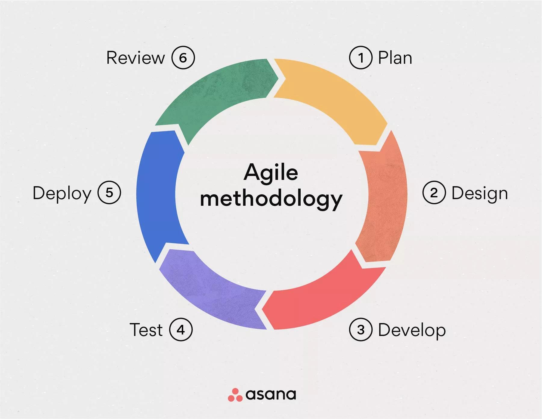 その他What Is Agile Methodology? (A Beginner's Guide) [2024] • Asana その他