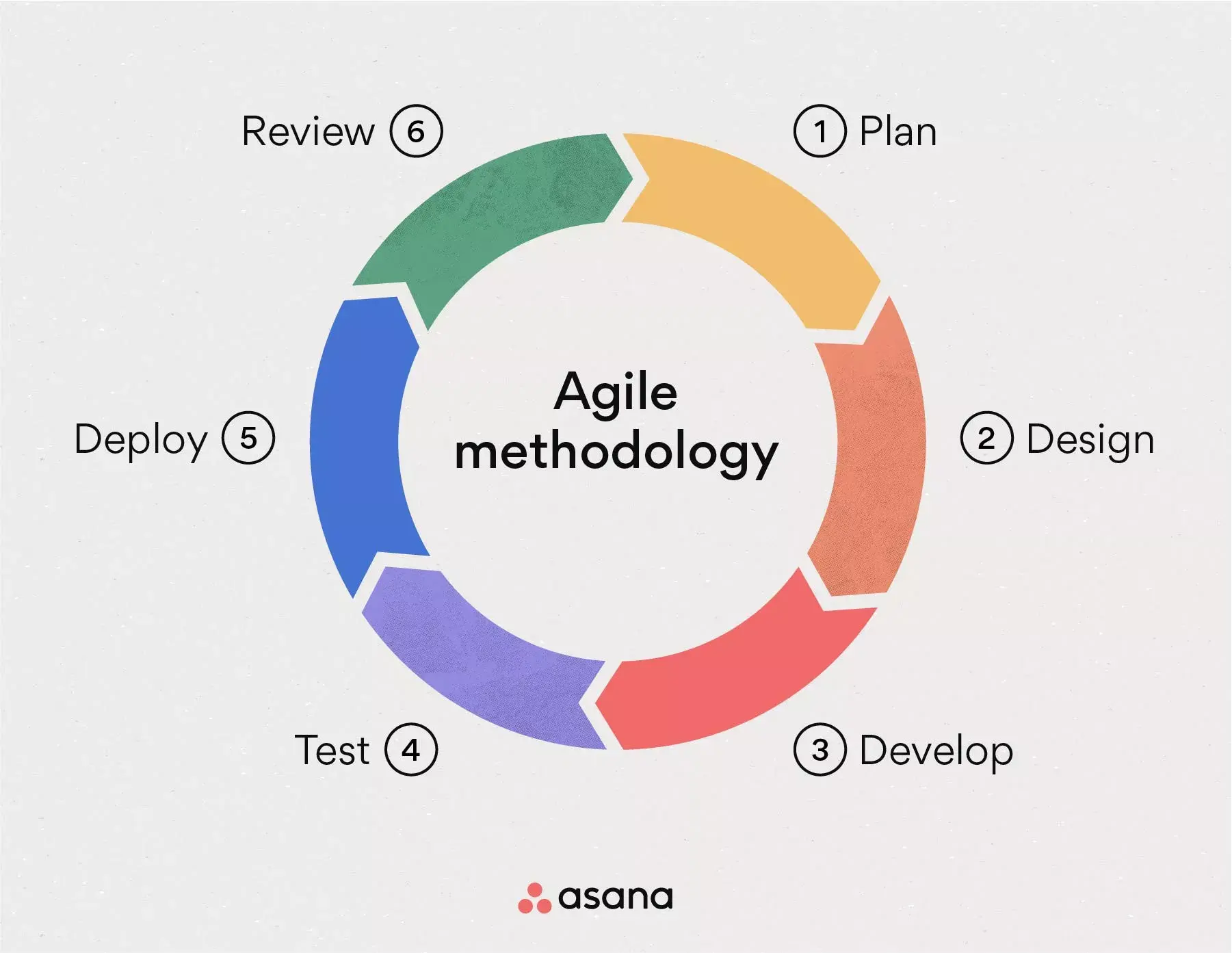 [inline illustration] Agile methodology (infographic)