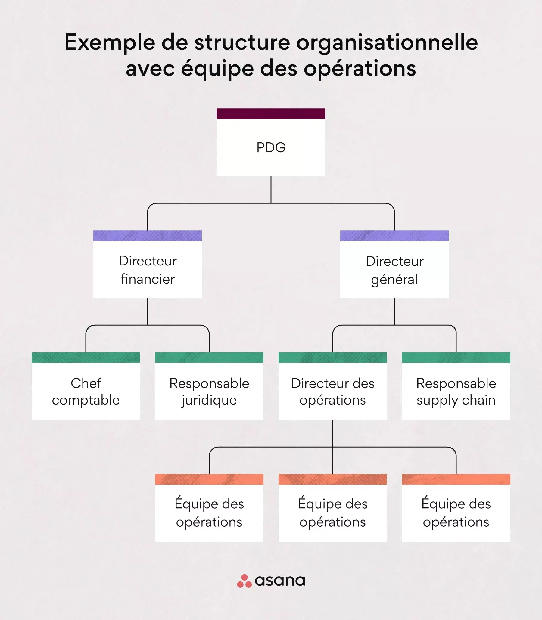 exemple de la place occupée par une équipe des opérations dans une structure organisationnelle