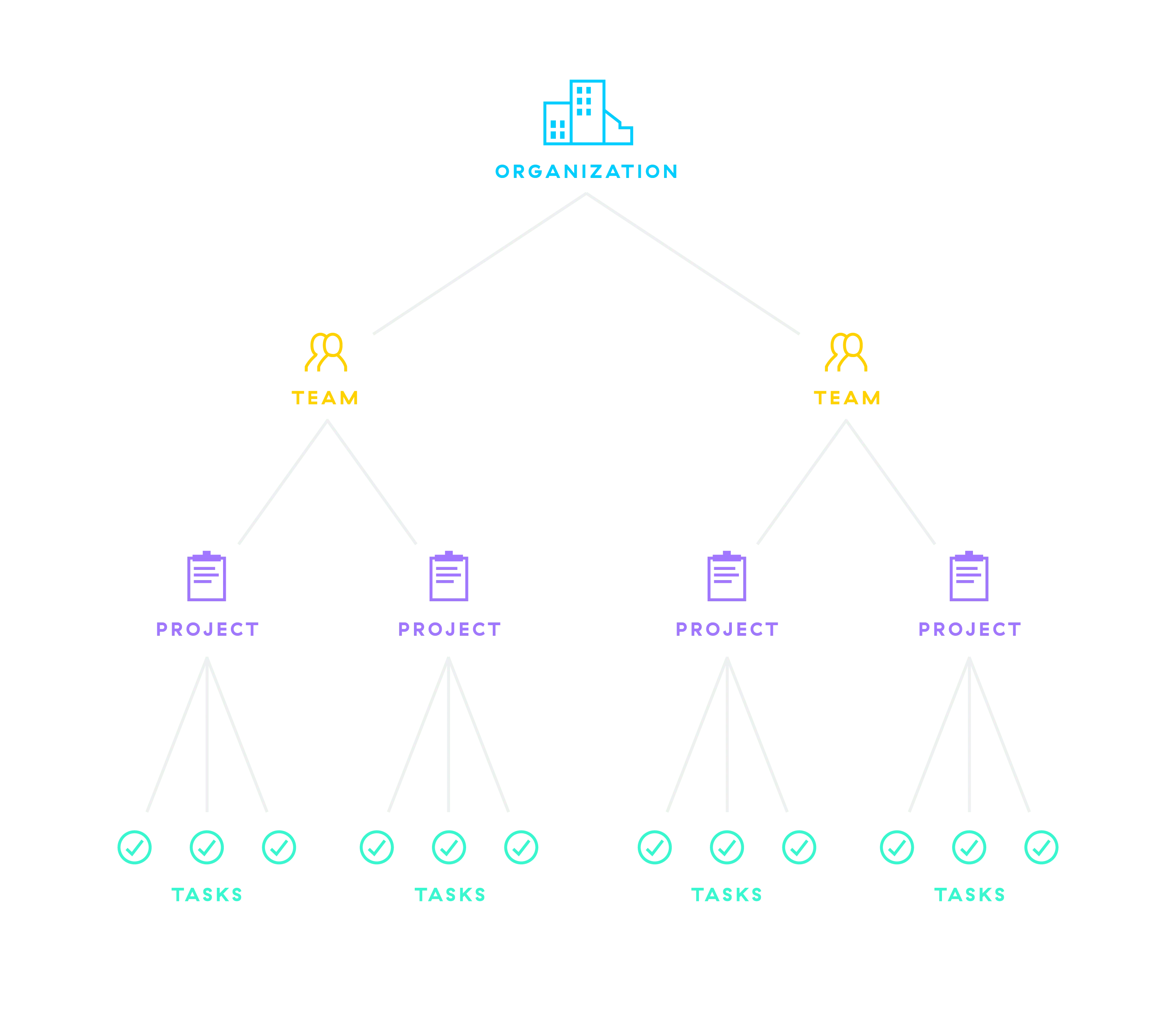 organization diagram